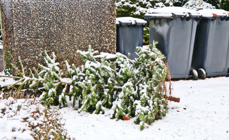 EU Xmas Tree.jpg