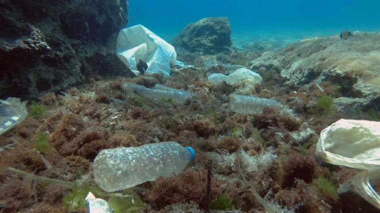 Ocean Plastic.jpg