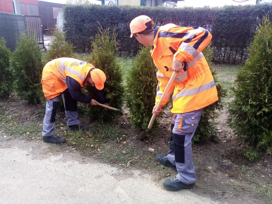 Serbia Tree Planting.png