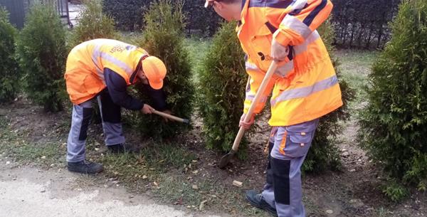 Inicijativa za sadnju drveća u Beogradu